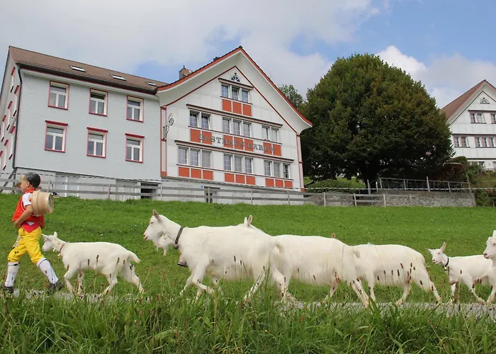 Gasthaus Bären Schlatt