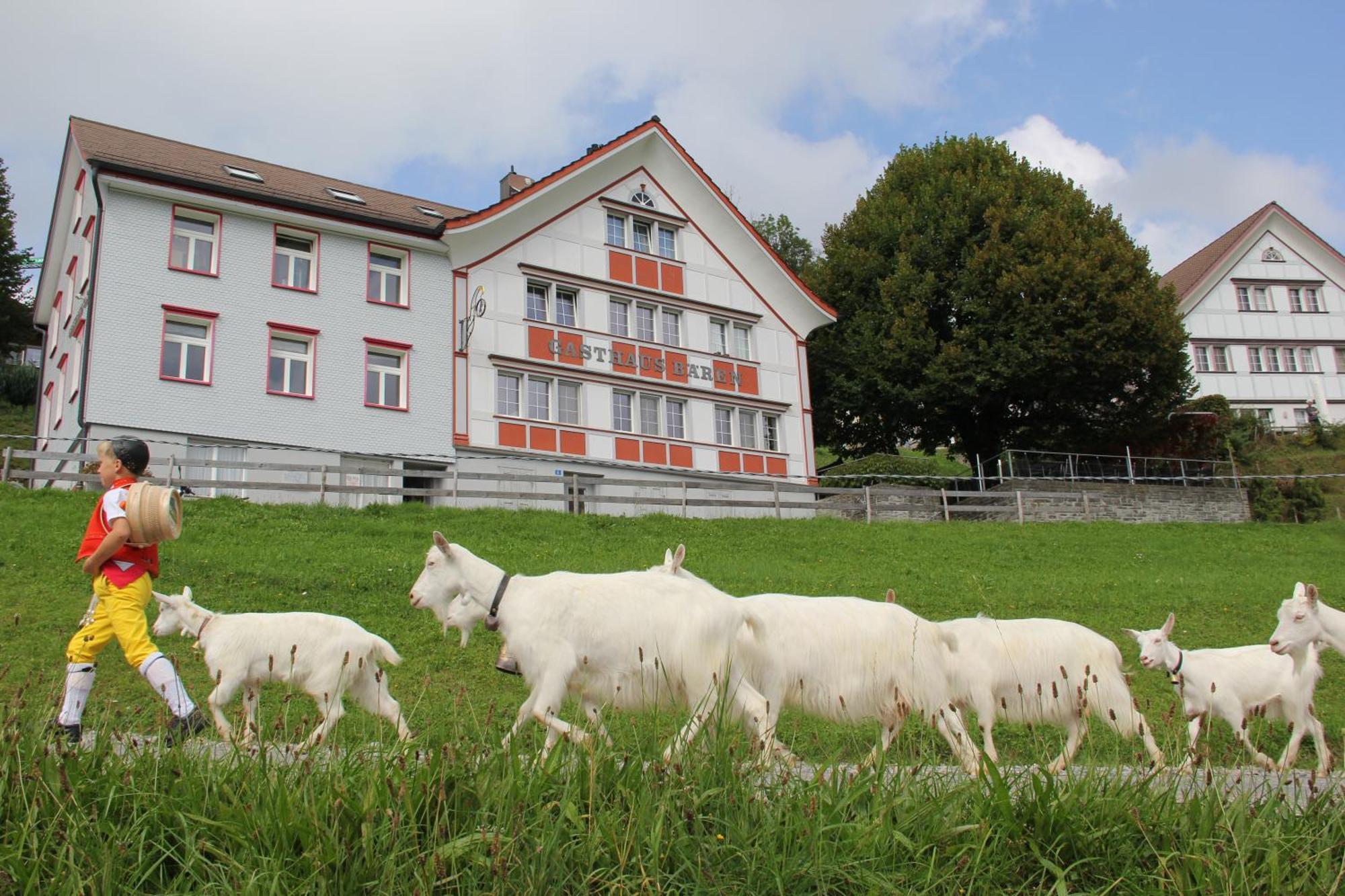 Baren Schlatt Appenzell
